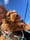Australianlabradoodle_bodhi