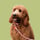 evie.the.doodle.london