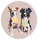 indydogslife