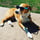 Winstonandfamily