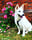 Akira.whiteBeauty