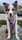 Rush_the_aussie
