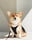 chubbersonthecorgi
