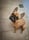 stellarossa_thefrenchie