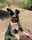 jagermeister_acd