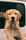 swaythegolden