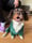 Charlieboythespaniel