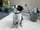 walkwithlaika