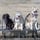 disneyandthesnowdogs