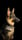 stoney_gsd_doge