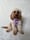 Olivethetoycavapoo