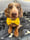 hugo_hotdawg