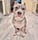 Cypher.TheBully