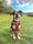 roary_the_rommie_rescue
