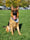 Kobethegsd06
