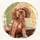 happythepoodle