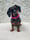 beanie.the.ween