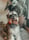 the.barking.beard
