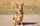 Kinleigh_r_e