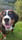 cosmo_the_berner