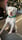 Roscoe_the_mixed_up_bull
