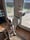 Dream_dogo