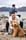 benje_labradoodle