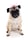 pypahmaii_the_pug