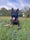 hachi_the_gentle_giant_ugc