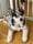 Ben_Hughes488