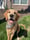 thegolden.murphy