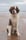 eltonrocketpaws