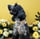 the_ivy_diaries_
