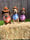 the_doxiesquad