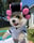 The_bachou