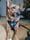 katarathebooniegirl