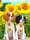 clover_and_rose_