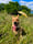island_pup_roo