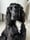 @_elvisthespaniel