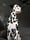 ZeroTheHeroDalmatian