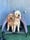 Thadoodlesisters_