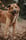 kona_connolly