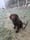 Madmackthesprocker