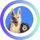 loki_ma_fuksa