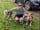 fittertogetheruk