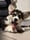 apollo_the.corgi1