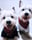Bailey.hailey.westies