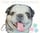 The Artisan Pug