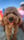teddy.bear.cuteness