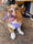 @dilbertthecorgi